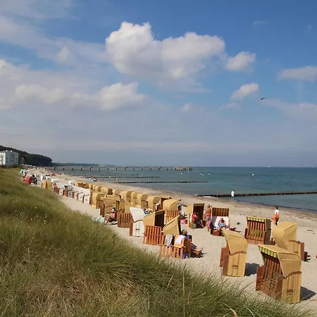 Meine-fischerhuette-app-stranddistel Börgerende-Rethwisch